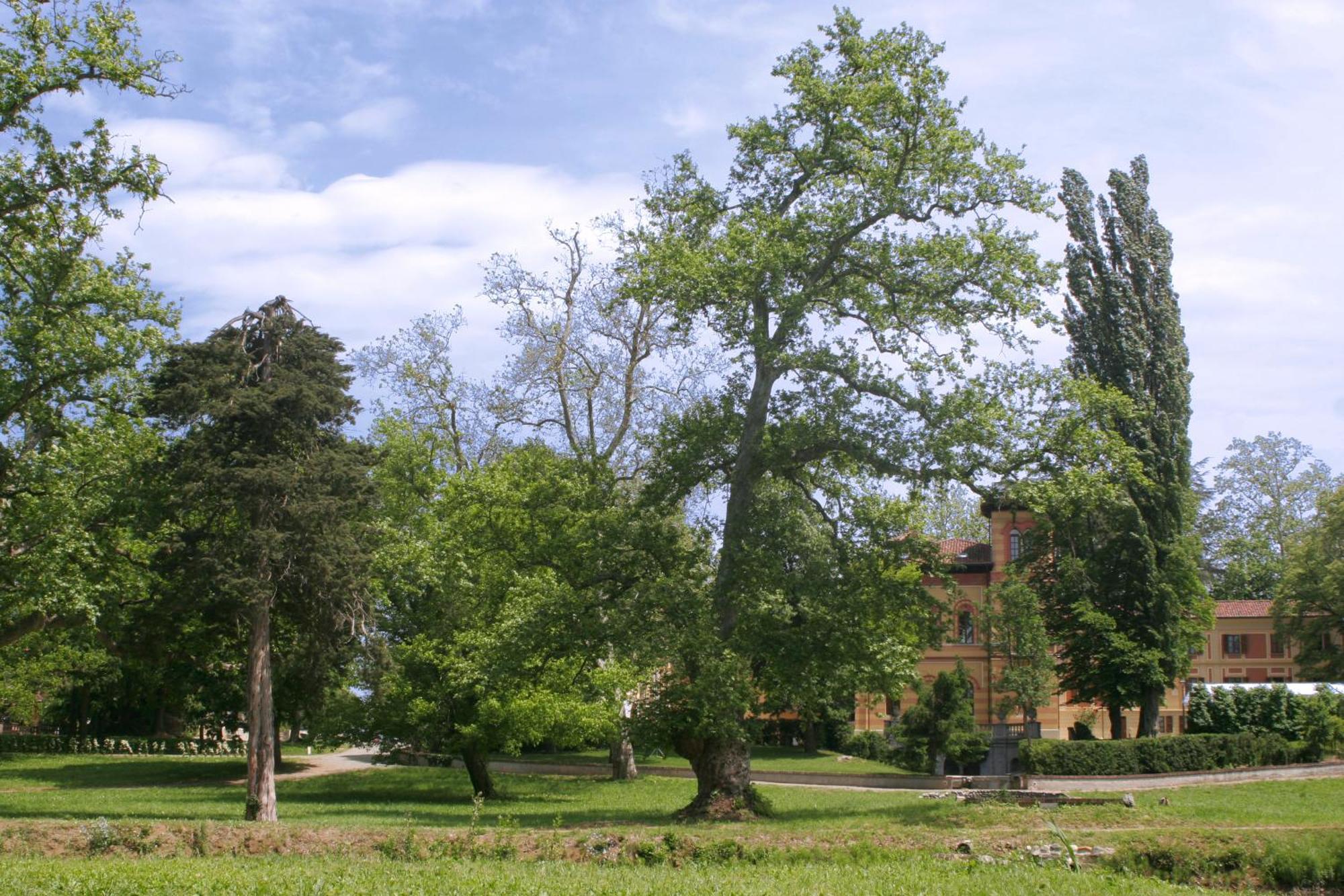 Villa Scati Bed And Breakfast Melazzo Exteriör bild